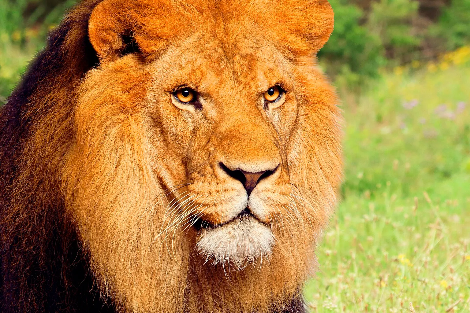 Terra Natura Murcia tickets: Online booking versus gate entry