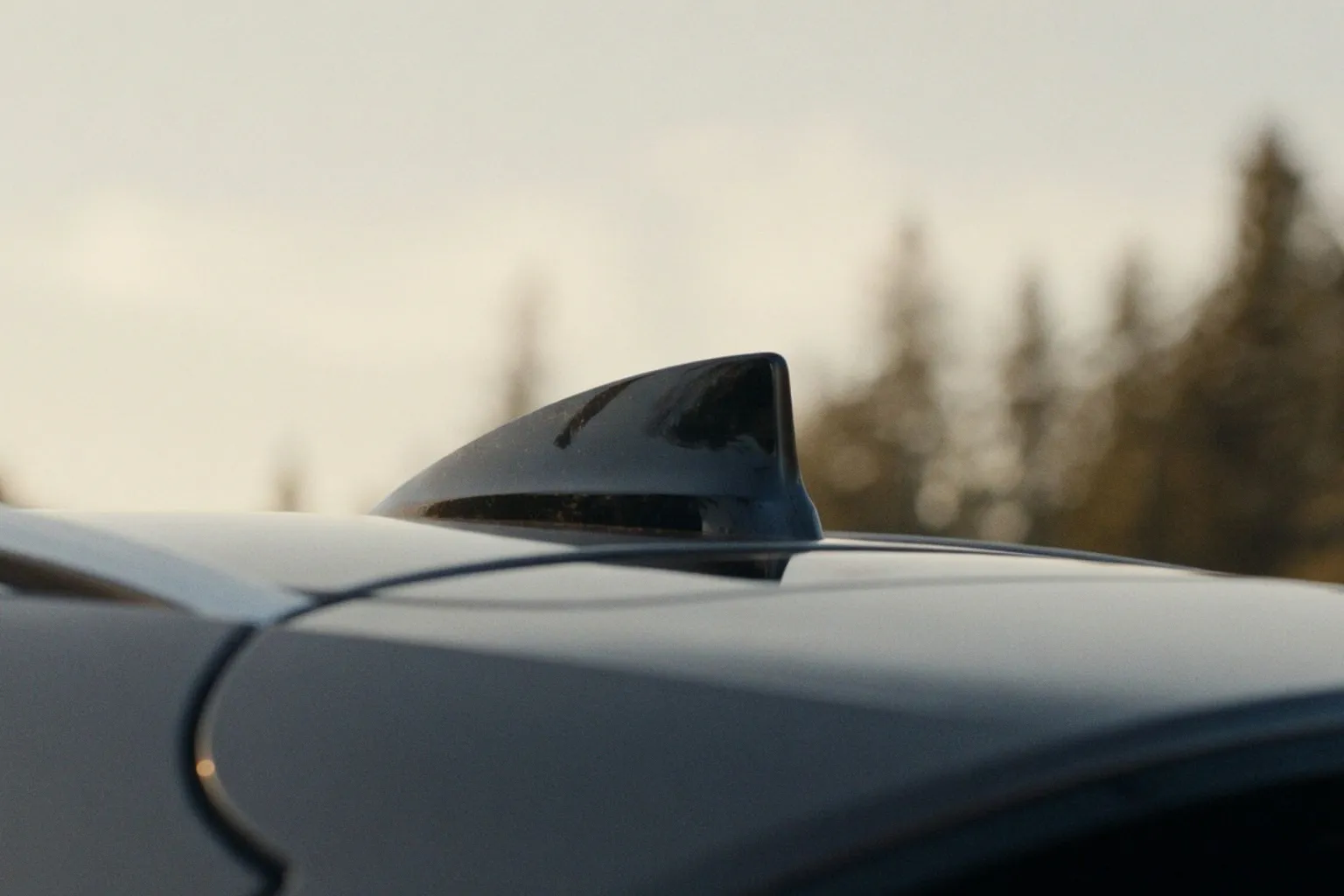 Why That Shark Fin Antenna on Your Import Is More Than Just a Design Choice
